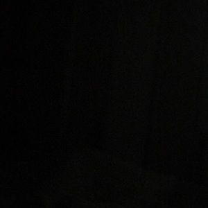 Meet your Posher, Donterrious